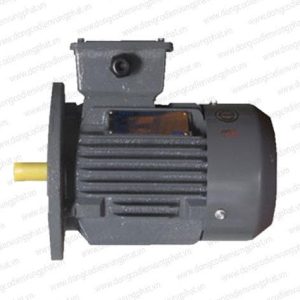 MOTOR TECO MẶT BÍCH